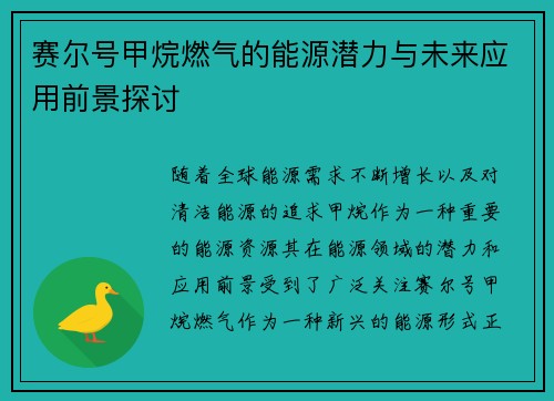 赛尔号甲烷燃气的能源潜力与未来应用前景探讨